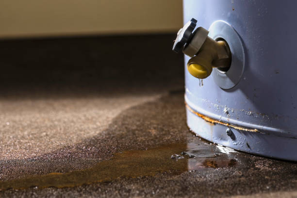 Trusted Shirley, NY Water damage restoration Experts