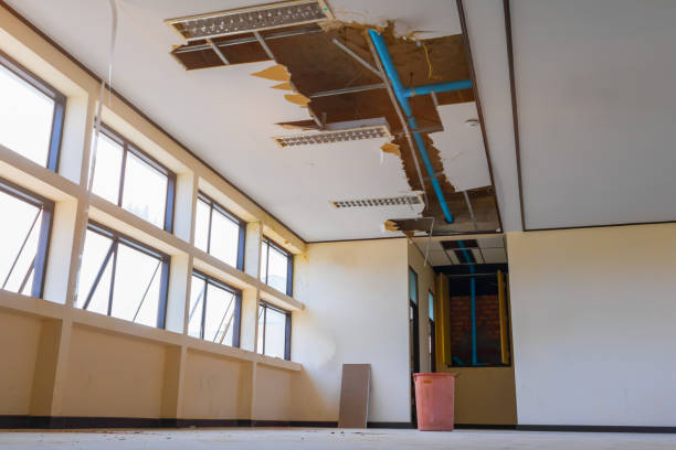 Best 24/7 water damage repair  in Shirley, NY