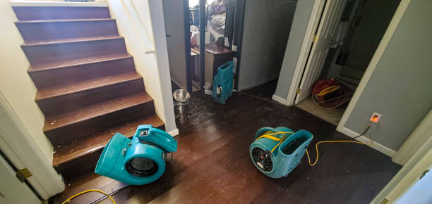 Best Water damage restoration company  in Shirley, NY