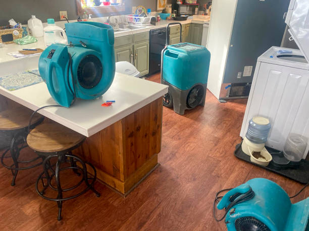 Best Water damage cleanup near me  in Shirley, NY