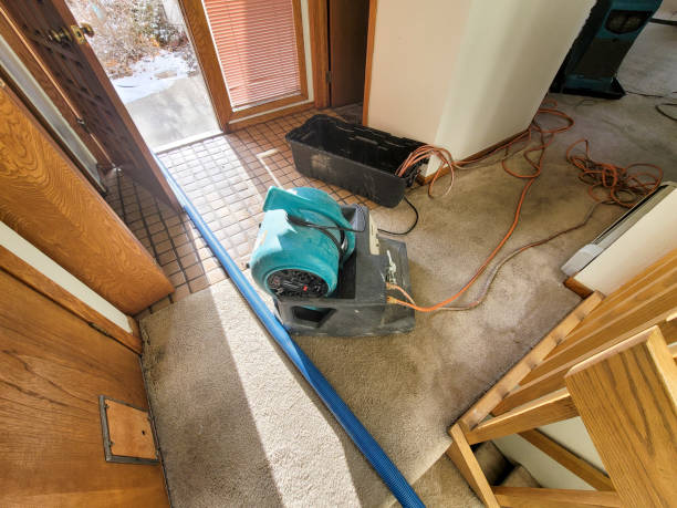 Best Ceiling water damage repair  in Shirley, NY