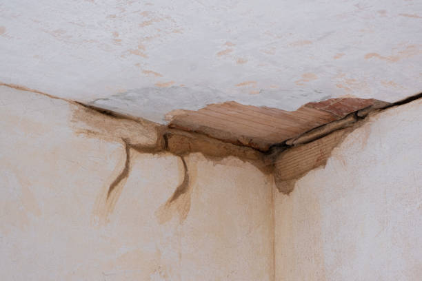 Best Emergency water damage restoration  in Shirley, NY