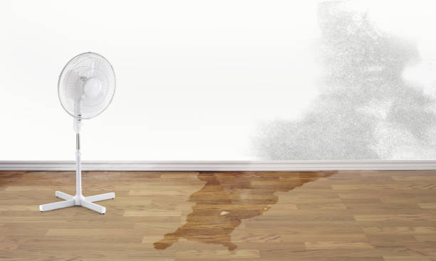 Best Flood damage cleanup  in Shirley, NY