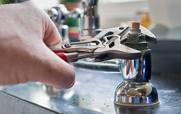 Best Mold removal after water damage  in Shirley, NY
