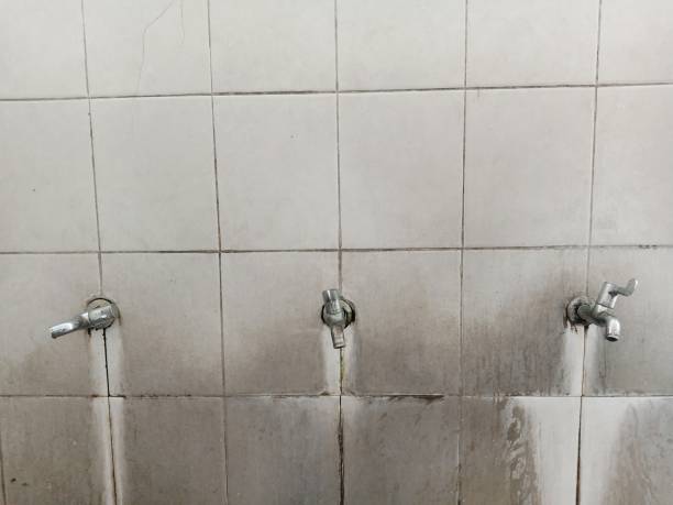 Best Carpet water damage restoration  in Shirley, NY