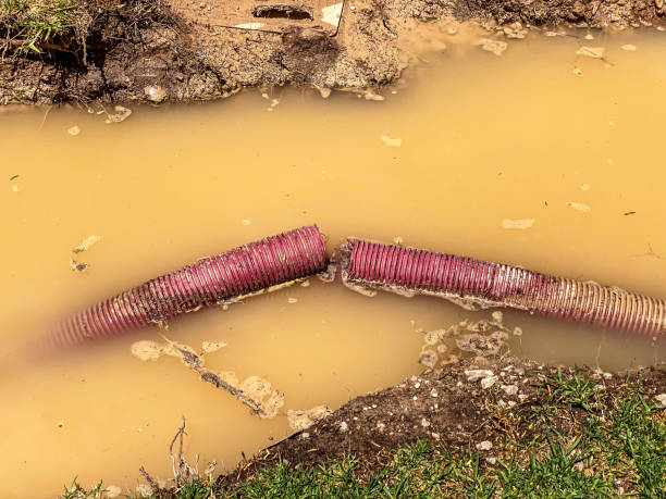 Best Residential water damage restoration  in Shirley, NY